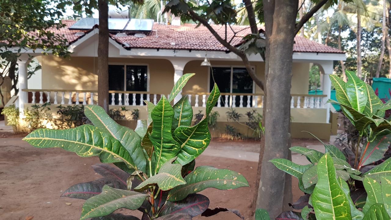 Hill Top Goa Lodge Vagator Exteriér fotografie